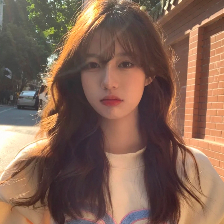 Lady's long curly wig 17