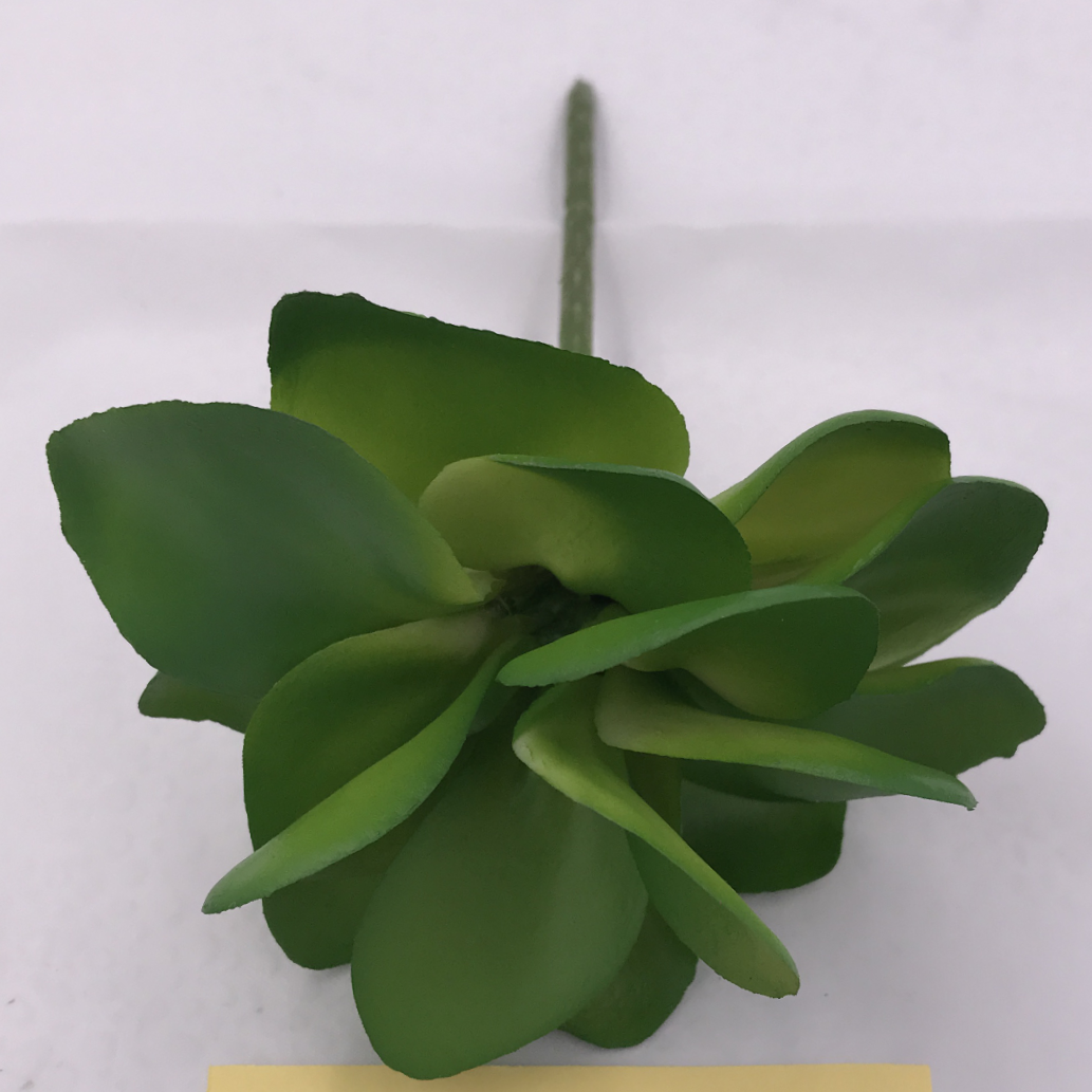 厂家批发，仿真花系列，苹果叶仿真多肉植物