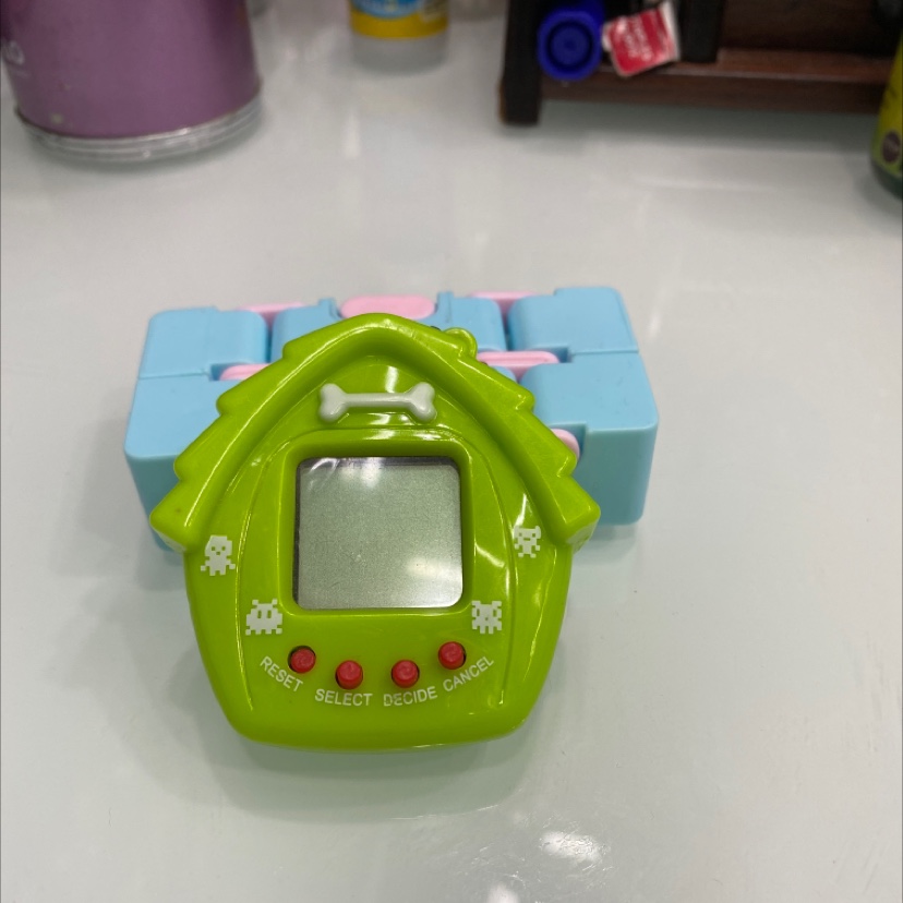 Little House Electronic Pet Enthusiast