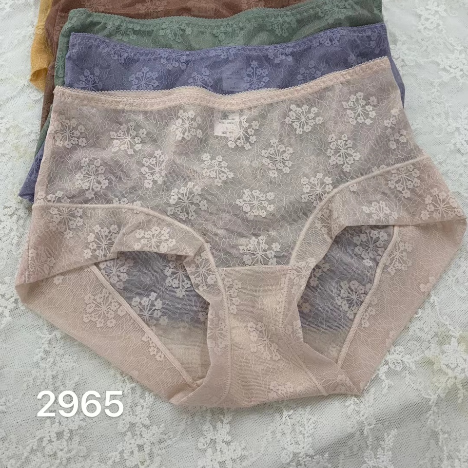 2965女士精品内裤