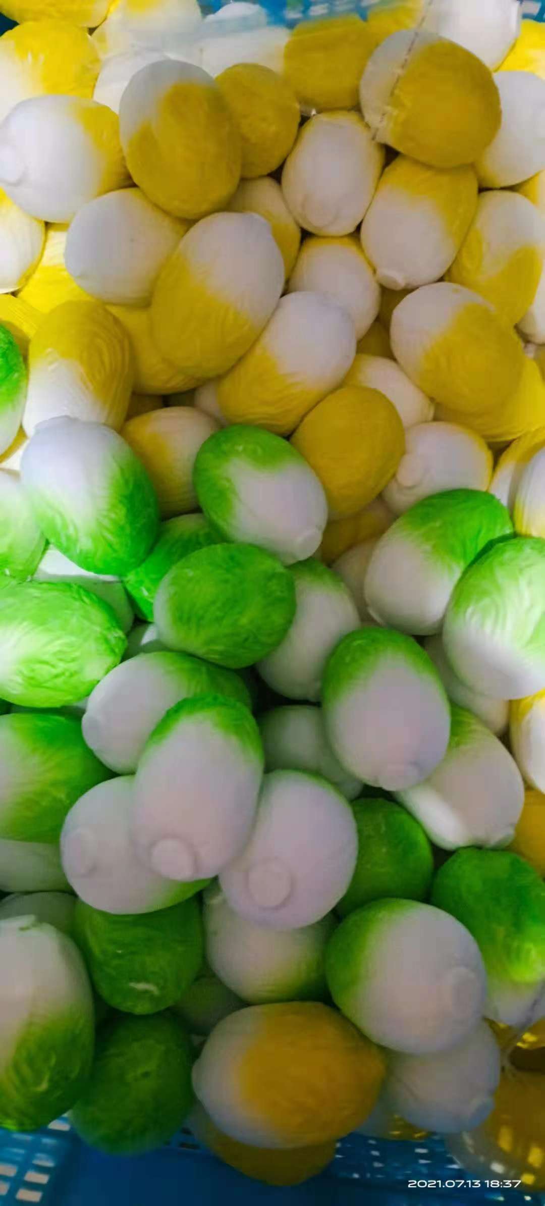 大白菜新款白底实物图