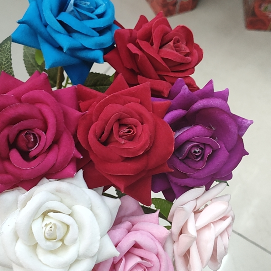 A single rose flower - 3
