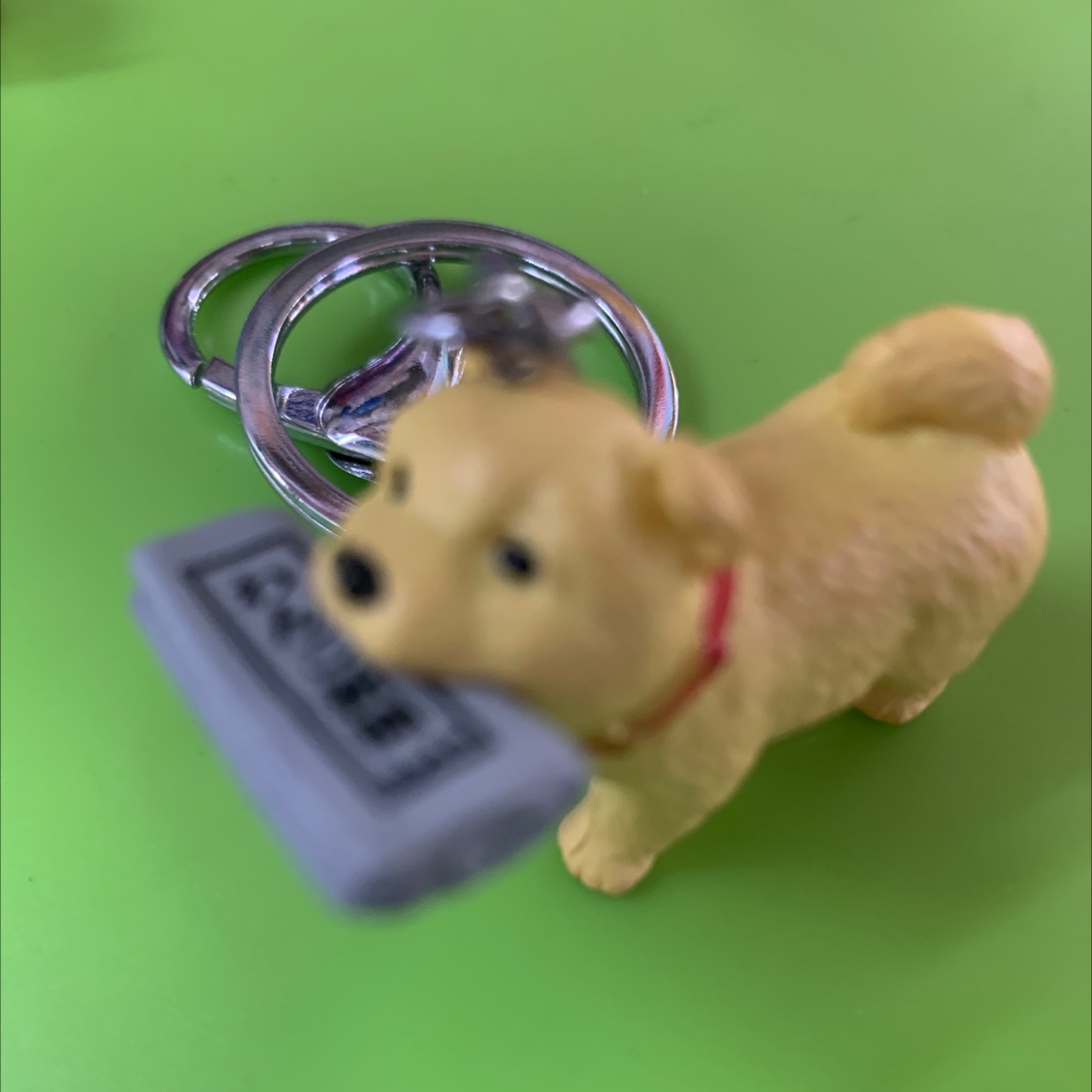 狗