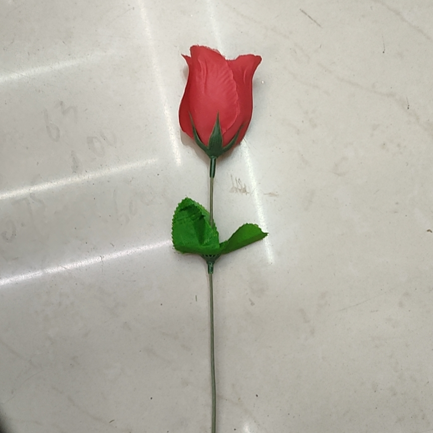 Single rose