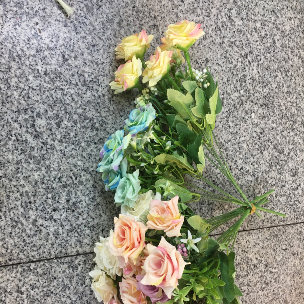 5头春油画卷边玫