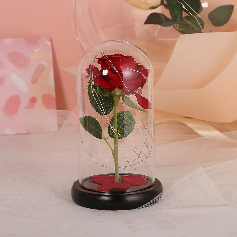 Valentine's Day Gift -51