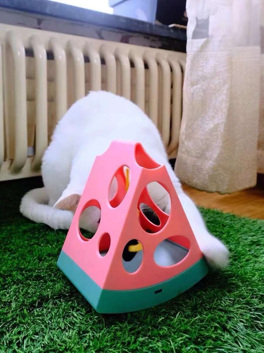  魔力瓜瓜玩/磁悬浮猫玩具/宠物猫玩具白底实物图