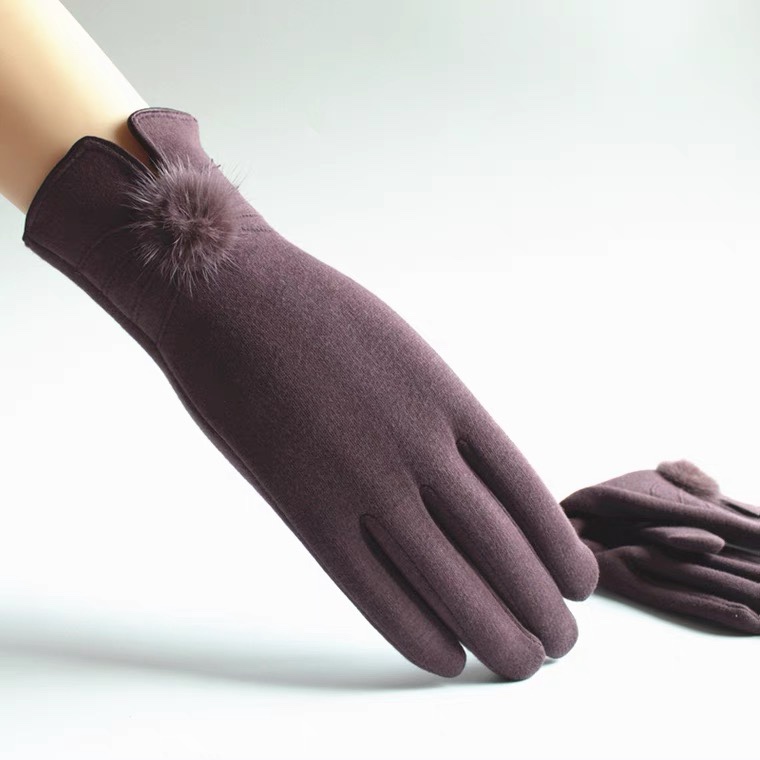 Gloves Women's warm gloves Autumn and Winter gloves Women's fleece touch screen gloves Cycling winter driving