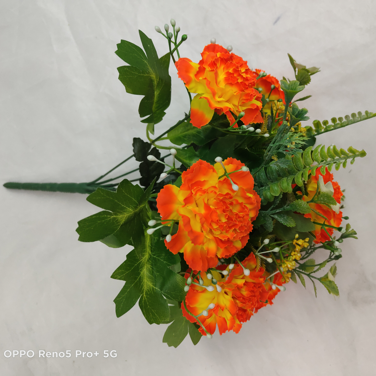 Chrysanthemum combination