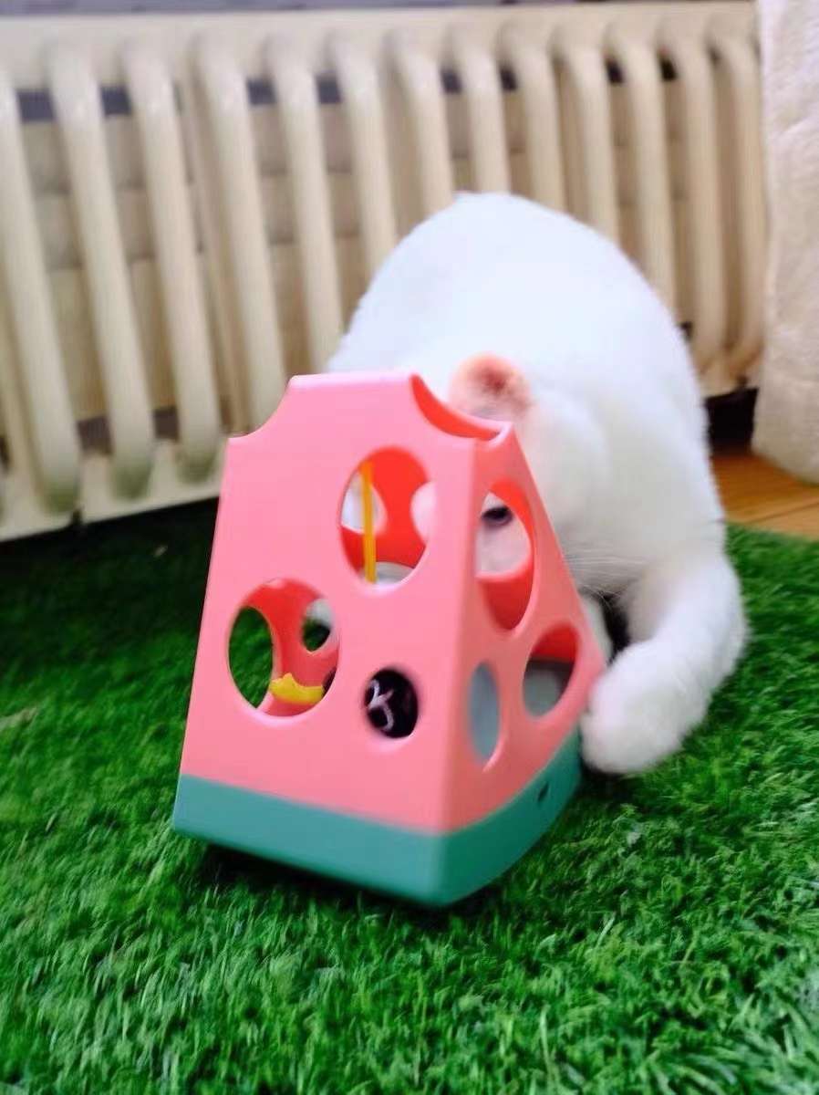 猫猫玩具实物图