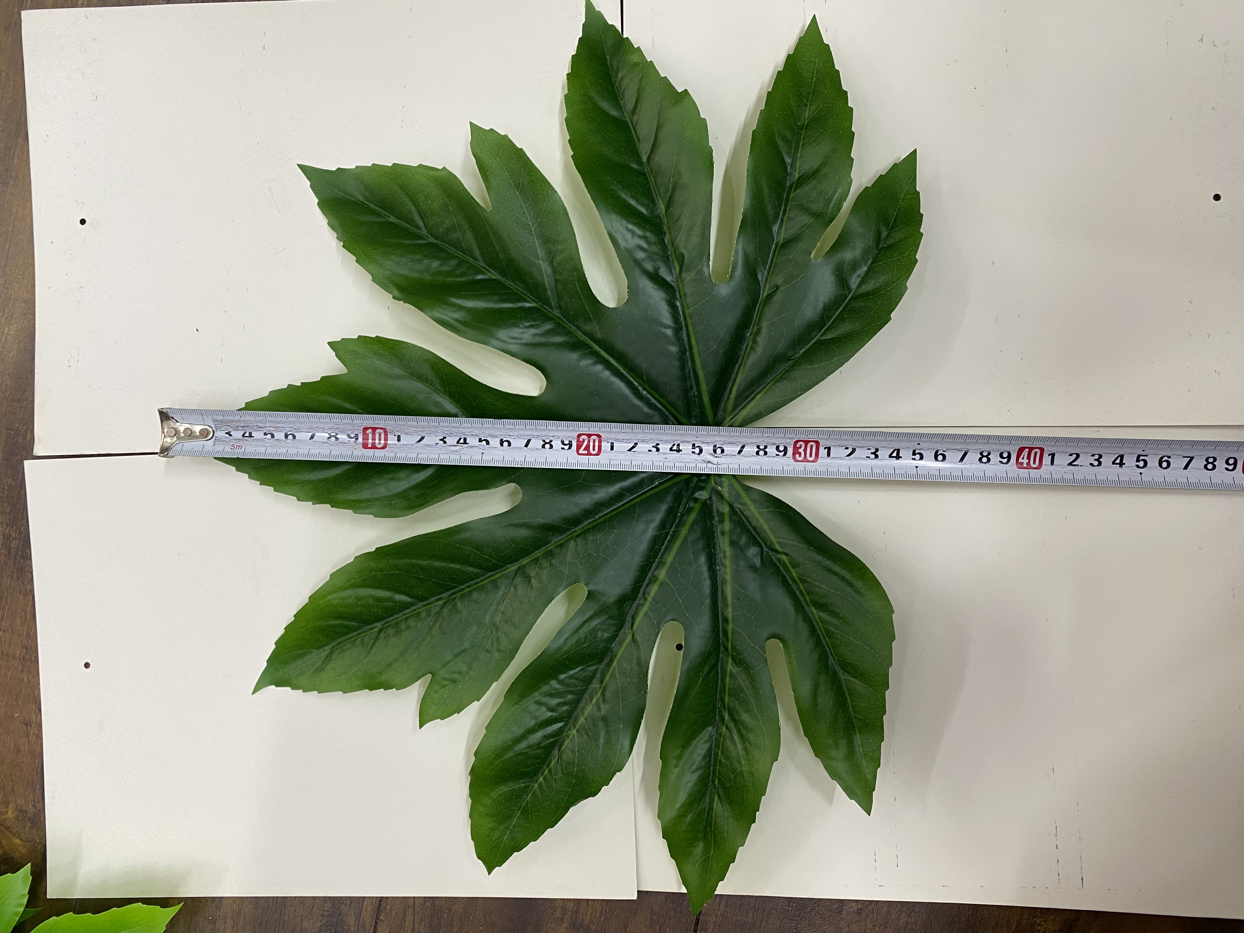 Octagonal Golden Plate No. 1 details Picture