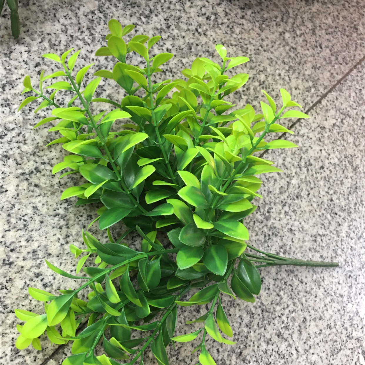2620过江龙