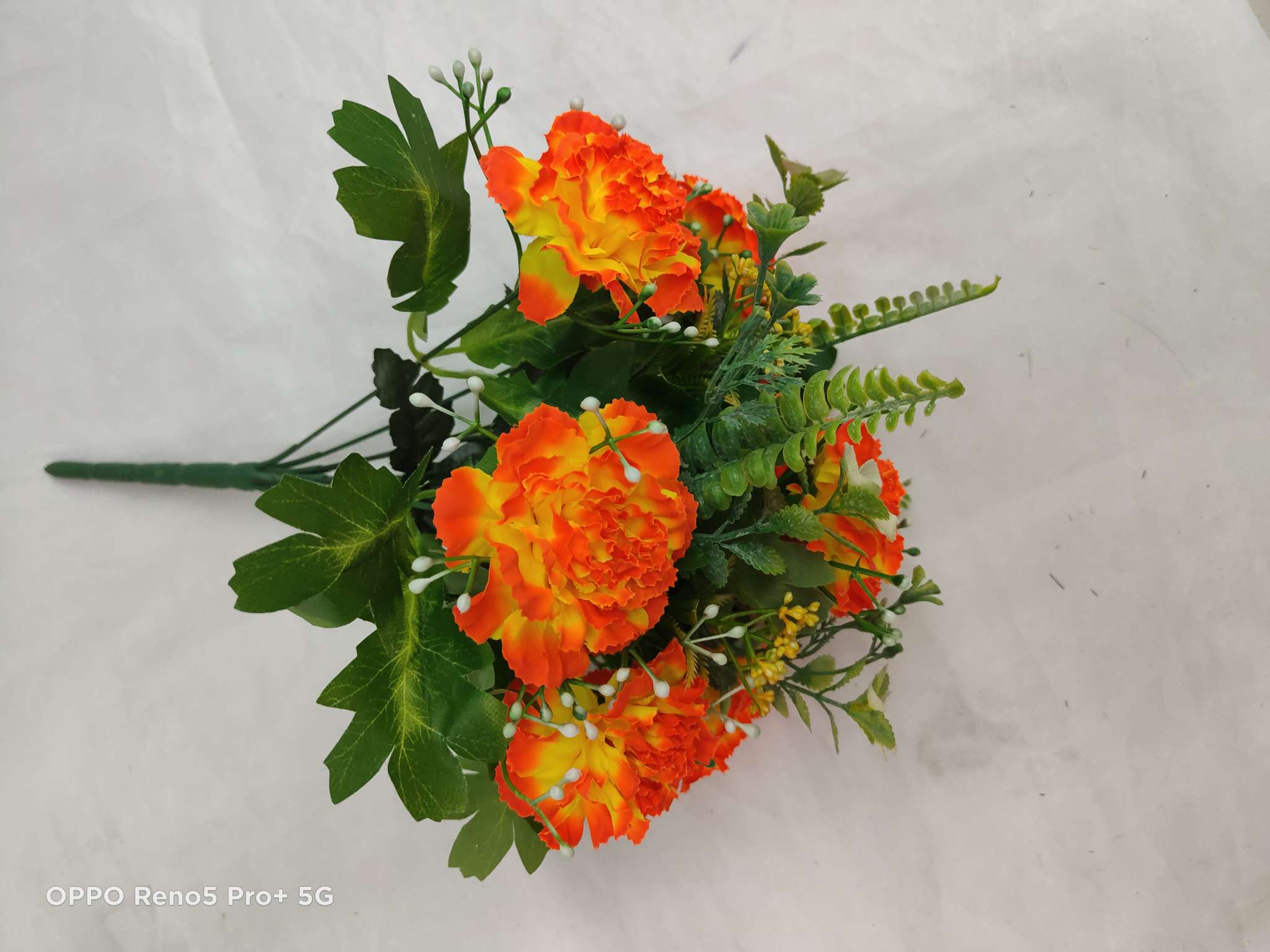 Chrysanthemum combination details Picture