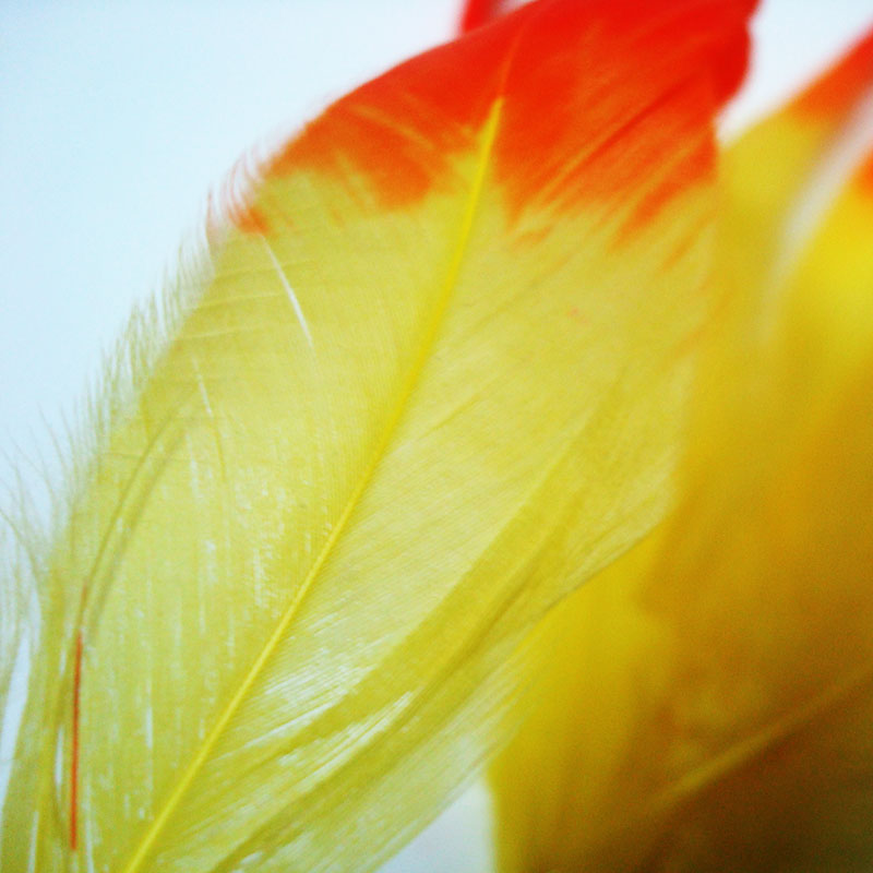 舞台演出服饰用品鸡尾毛染头，多色可染详情图5