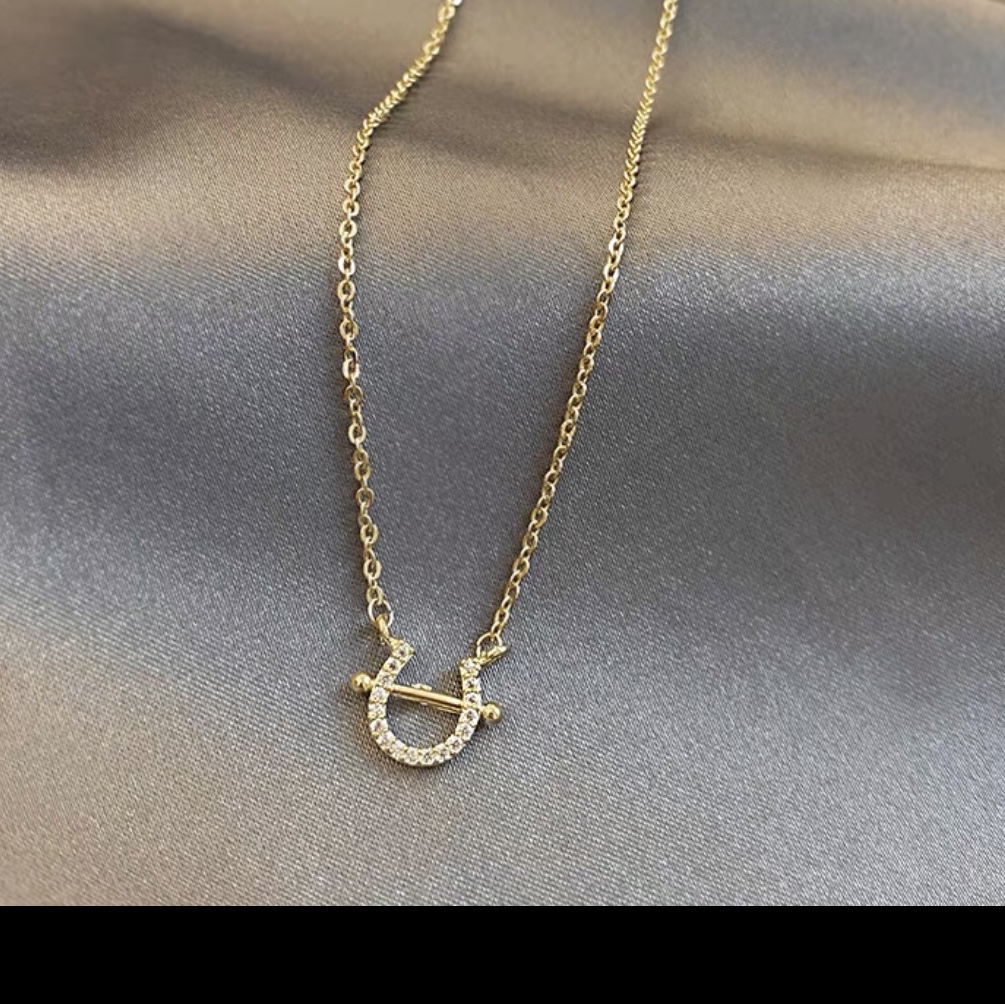 Horseshoe necklace