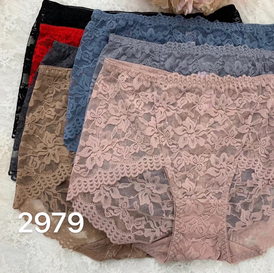2979女士蕾丝裤