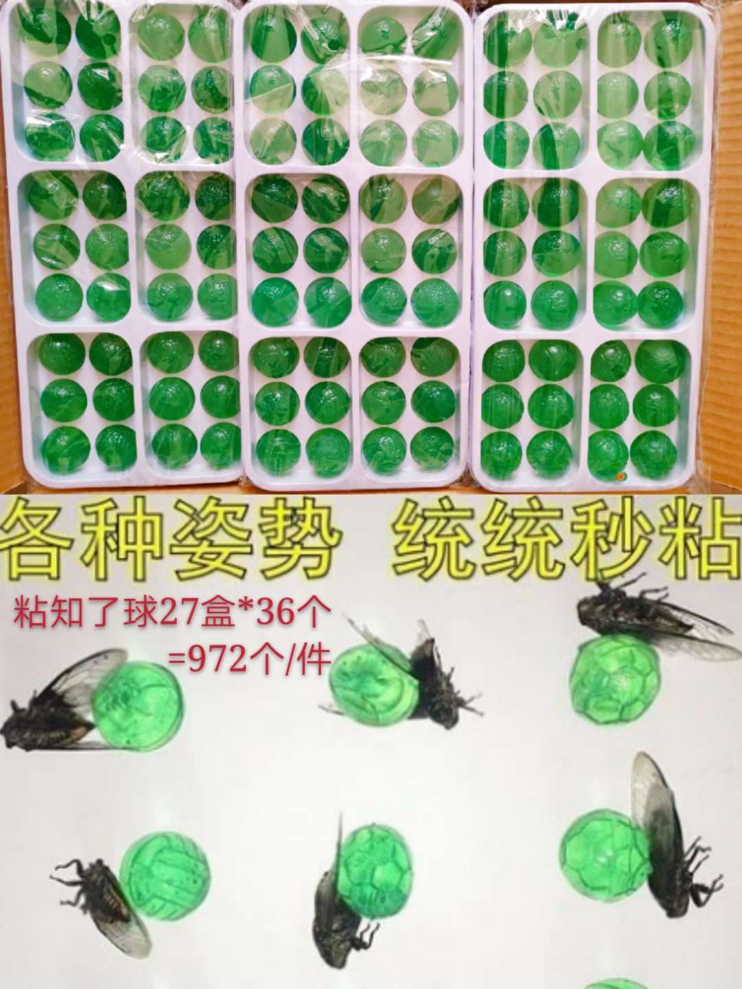 粘知了球，各种姿势，统统秒粘详情图1