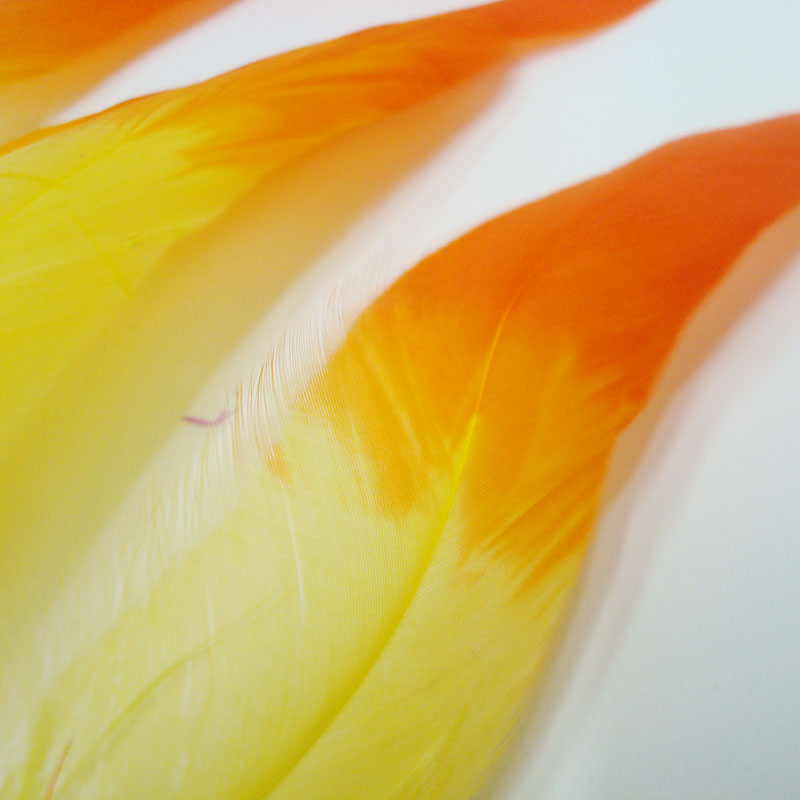 舞台演出服饰用品鸡尾毛染头，多色可染详情图4