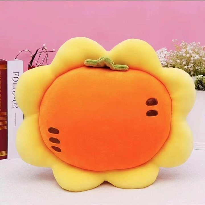 太阳花胡萝卜空调被