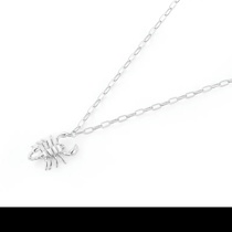 Scorpion necklace