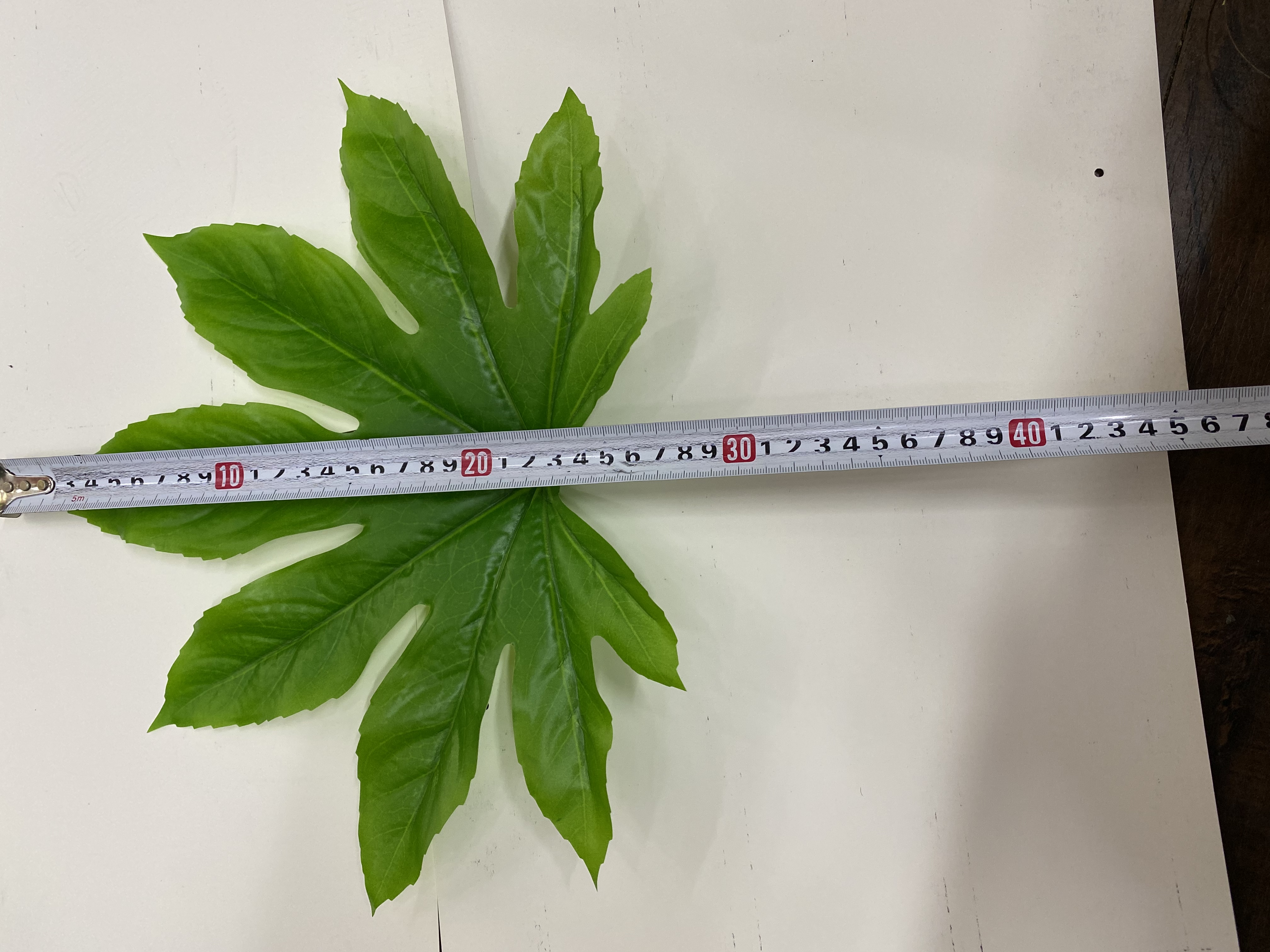 Octagonal Golden Plate No. 2 Specification image