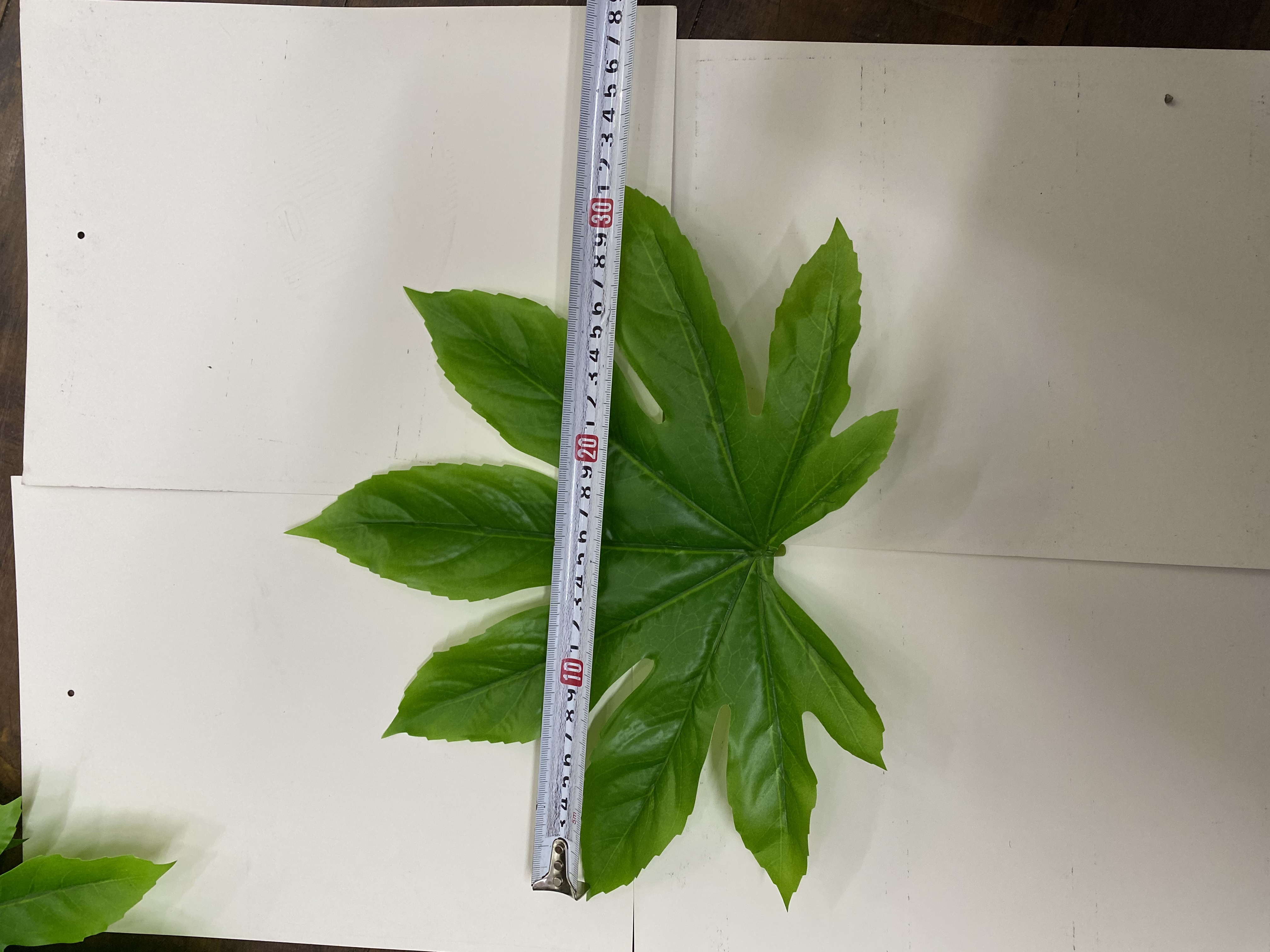 Octagonal Golden Plate No. 2 details Picture