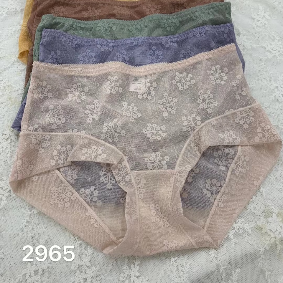 2965女士莫代尔精品内裤