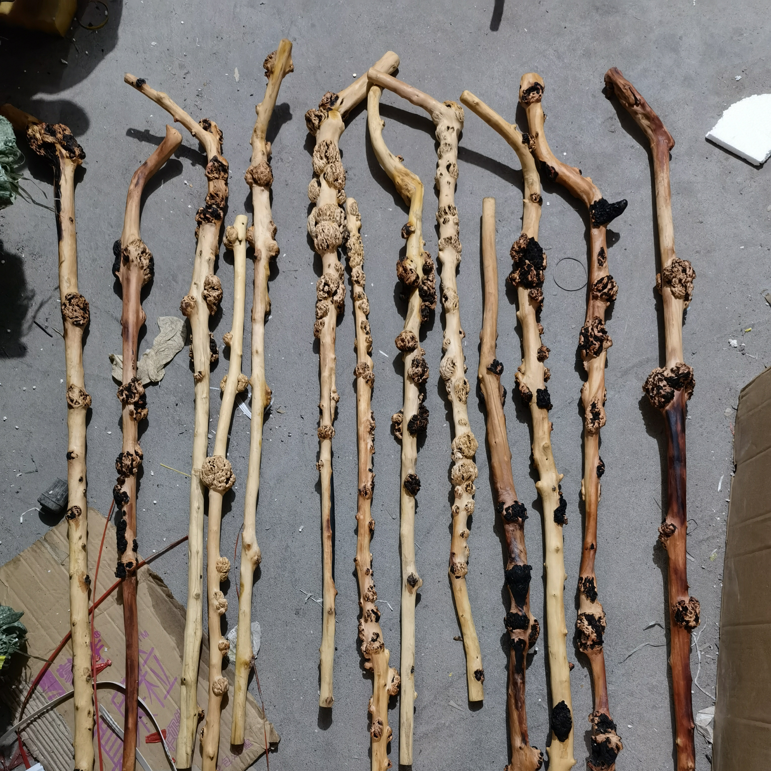 疙瘩木果木拐杖