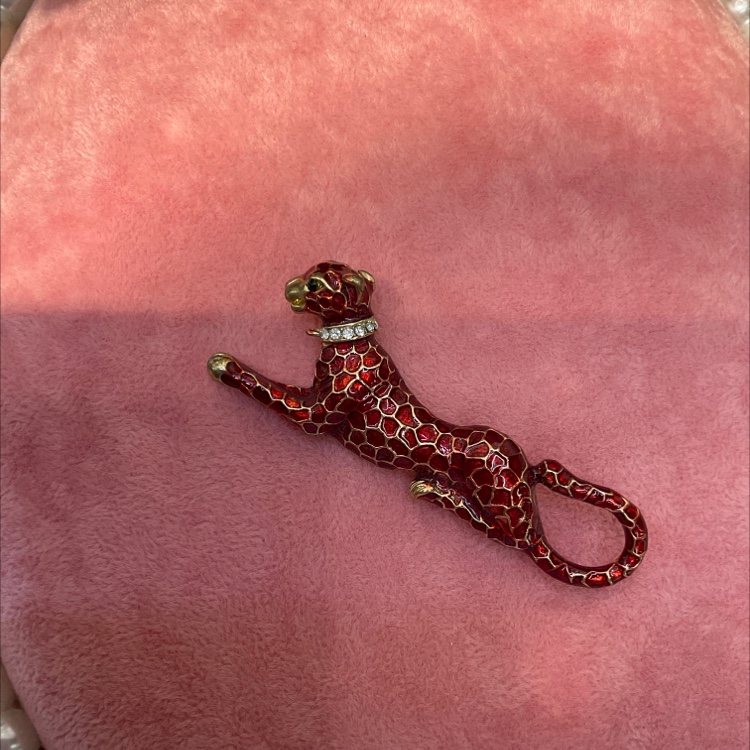 Stylish and classy leopard brooch