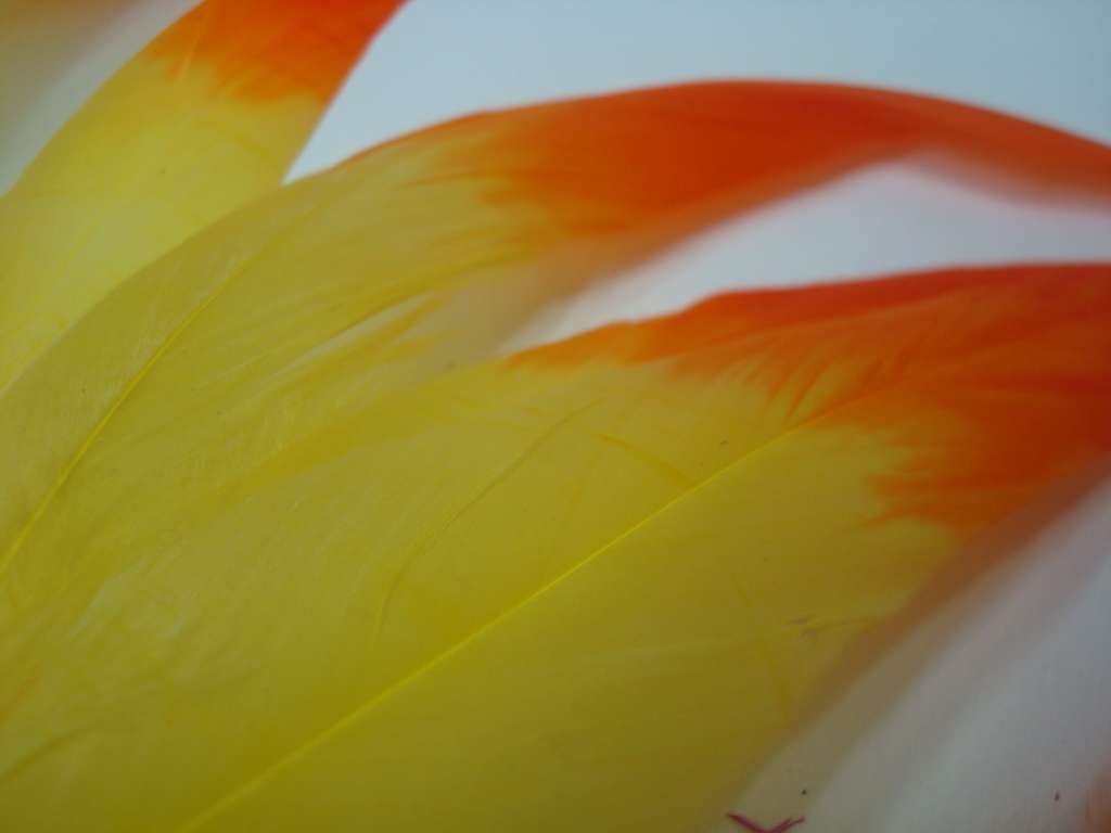 舞台演出服饰用品鸡尾毛染头，多色可染细节图