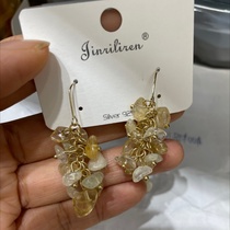 Today Beauty Korean earrings handmade fashion generous