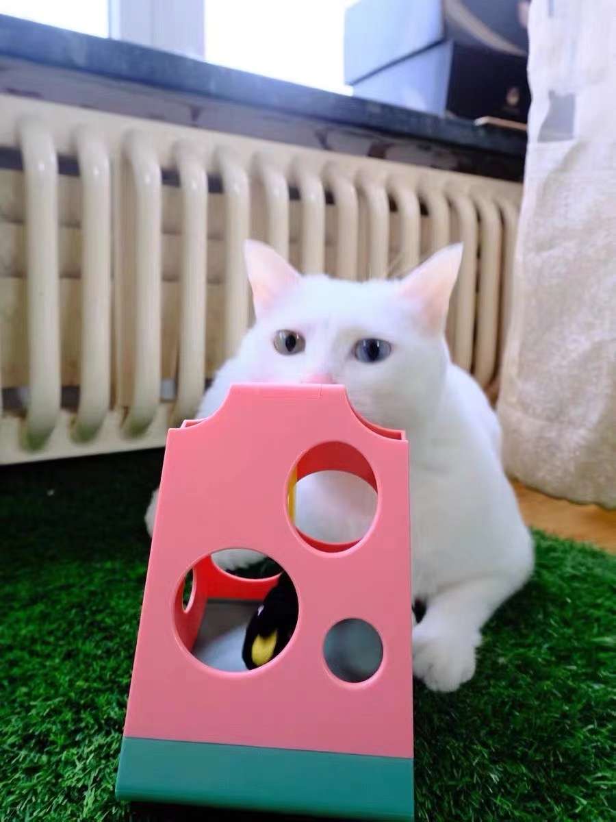  魔力瓜瓜玩/磁悬浮猫玩具/宠物猫玩具细节图