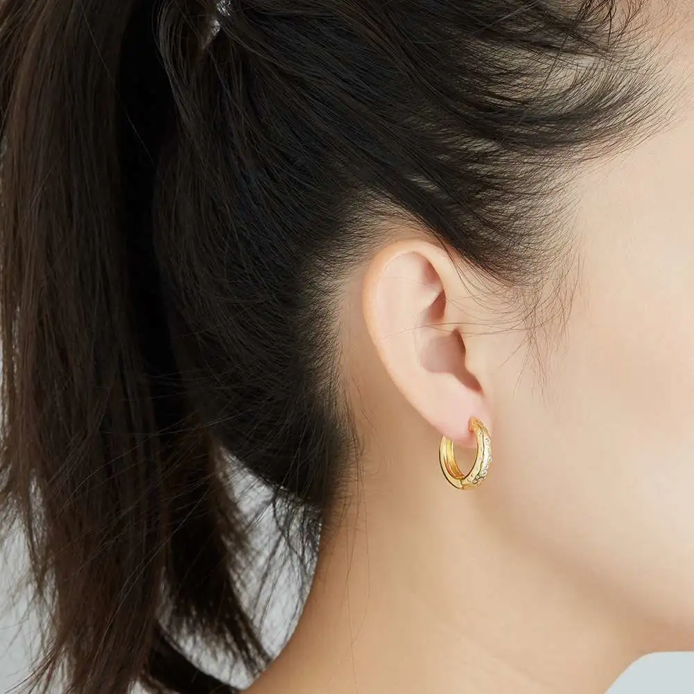 Factory direct sales of summer new products, elegant French earrings for women, gold zirconium-inlaid ring zirconia ear buckles detail image 1