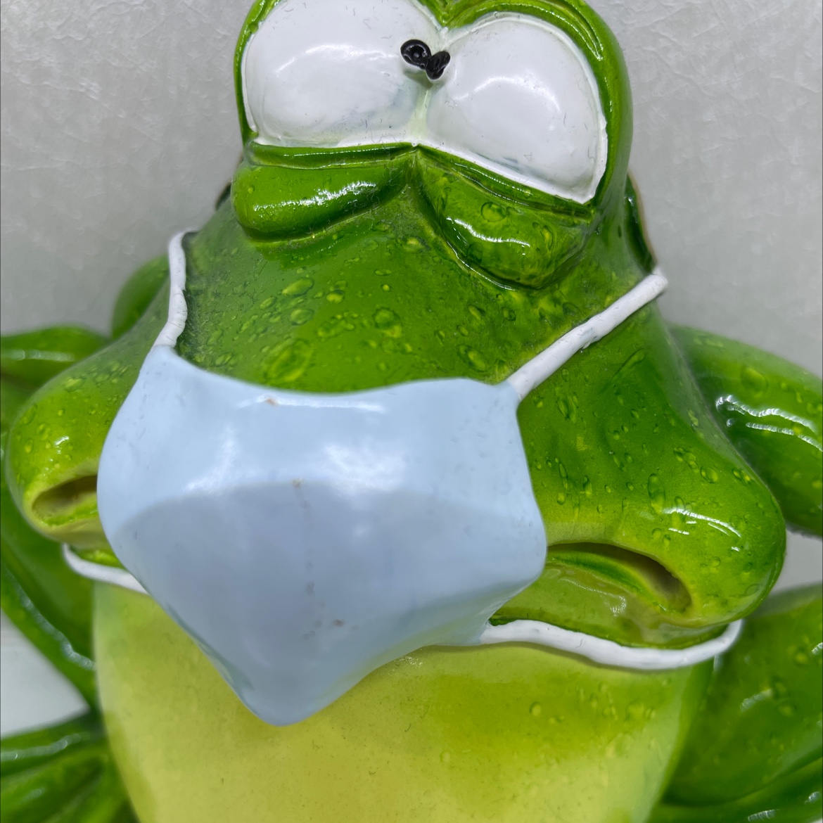 Doctor frog