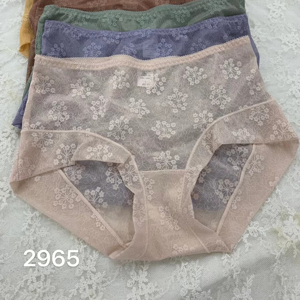 2965爆款女裤