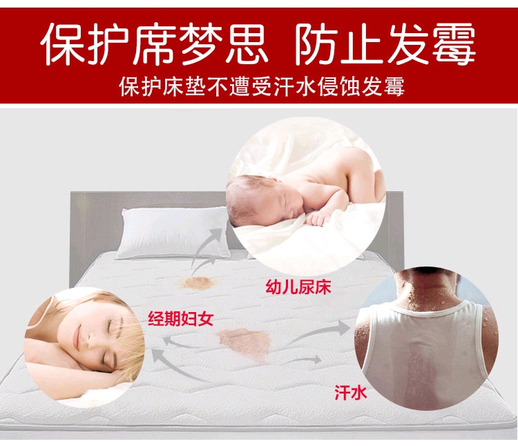 Aliexpress cross-border exclusive waterproof bedspread, high-elasticity brushed cotton-padded Simmons protective cover detail image 14