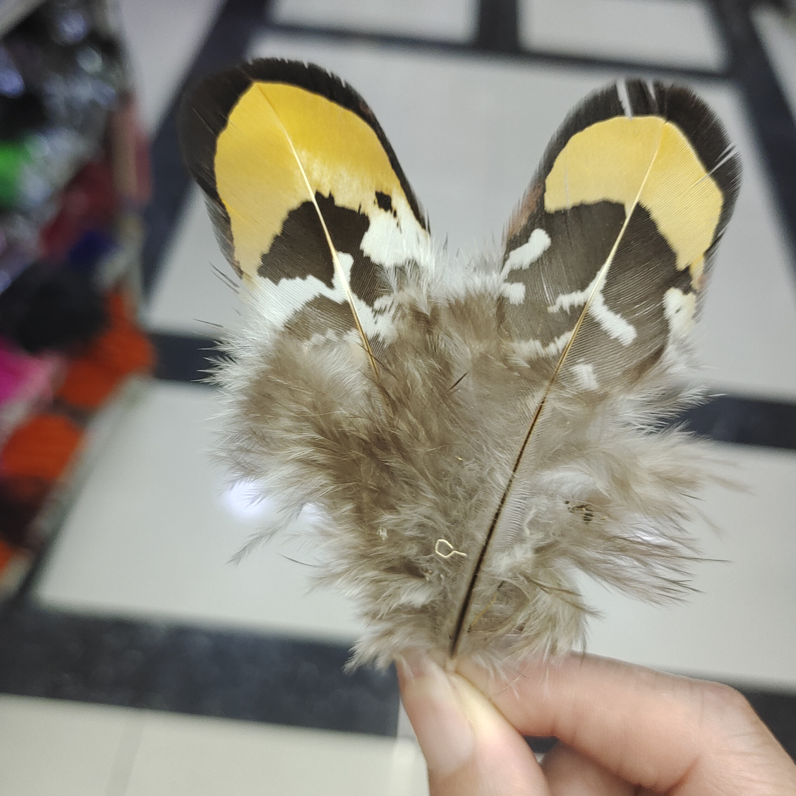 Feathers accessorize with chicken feathers