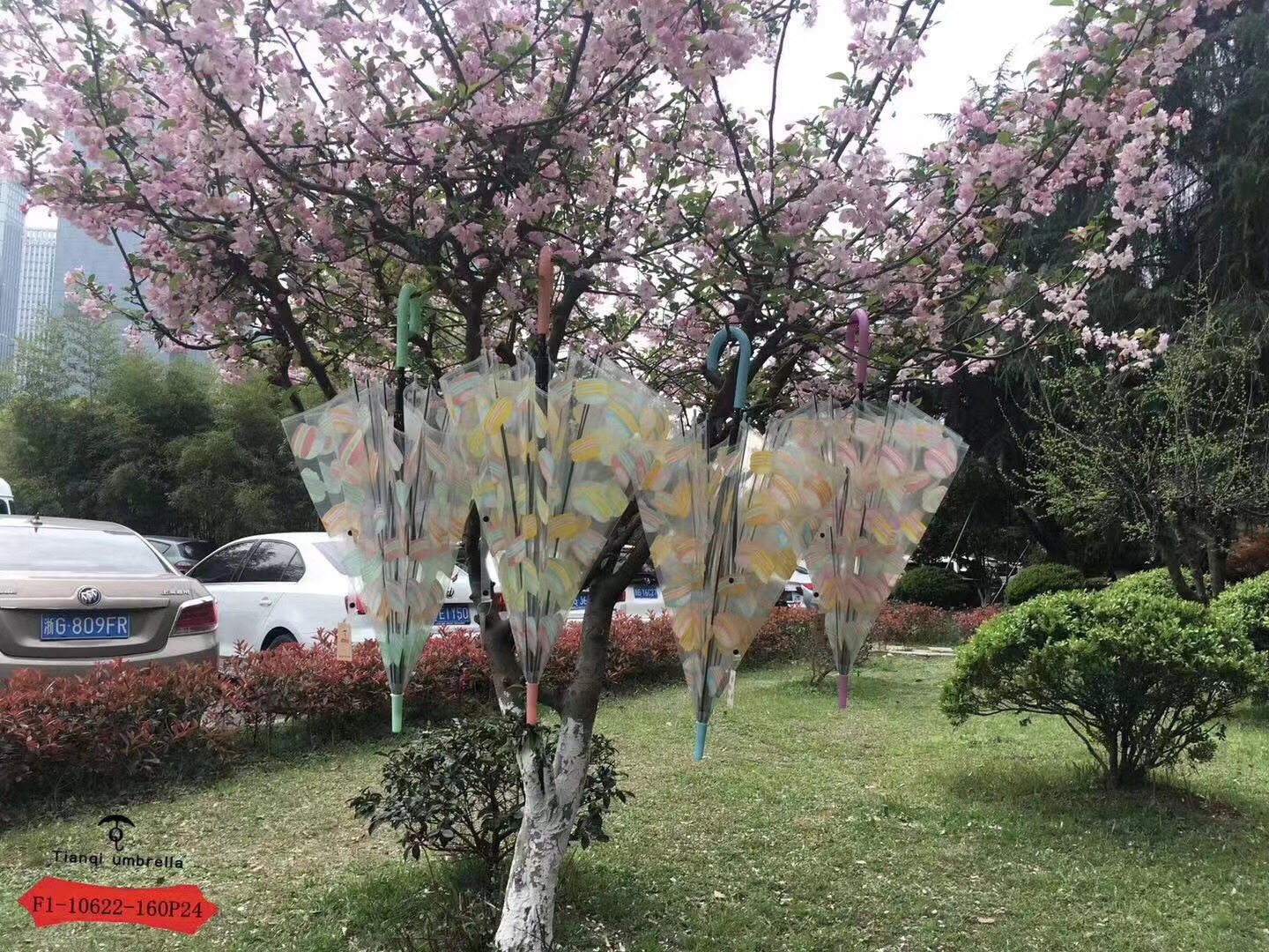 F1-10622-160P24透明环保马卡龙直杆伞详情图2