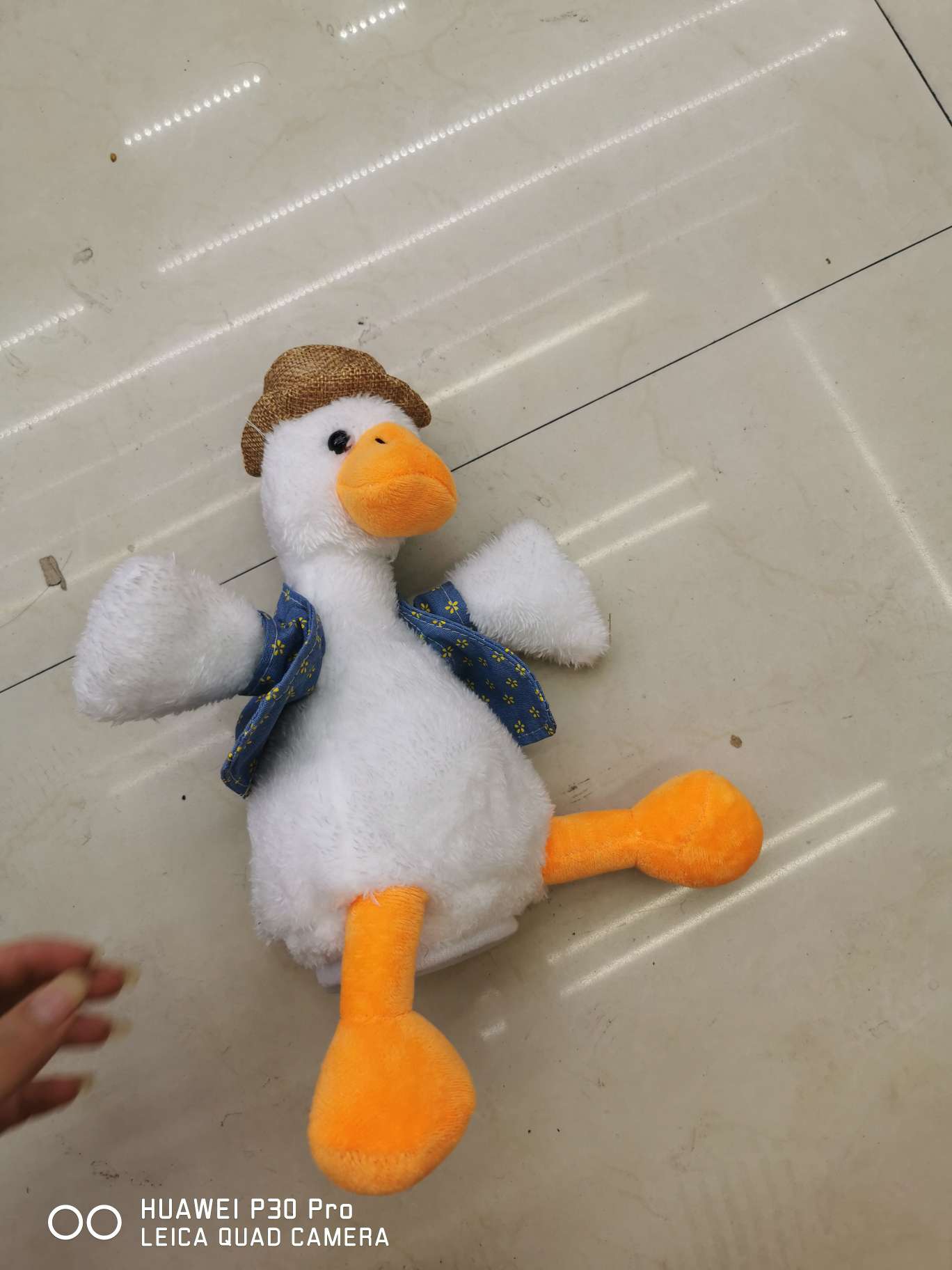 唱歌小黄鸭详情图3