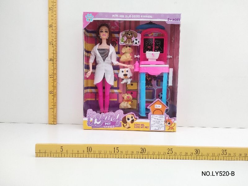 11.5 Pet Doll Application Scenario