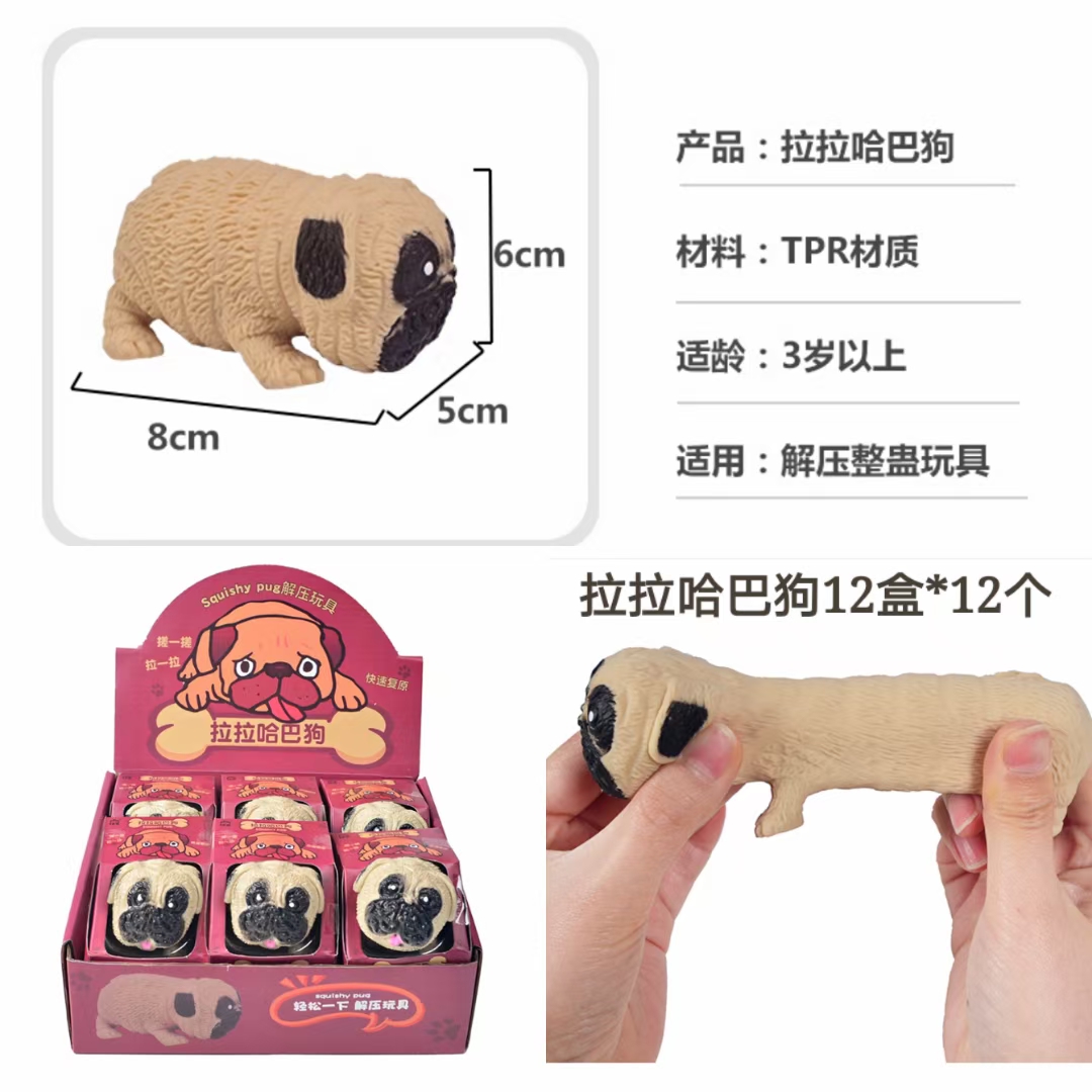 小动物狗