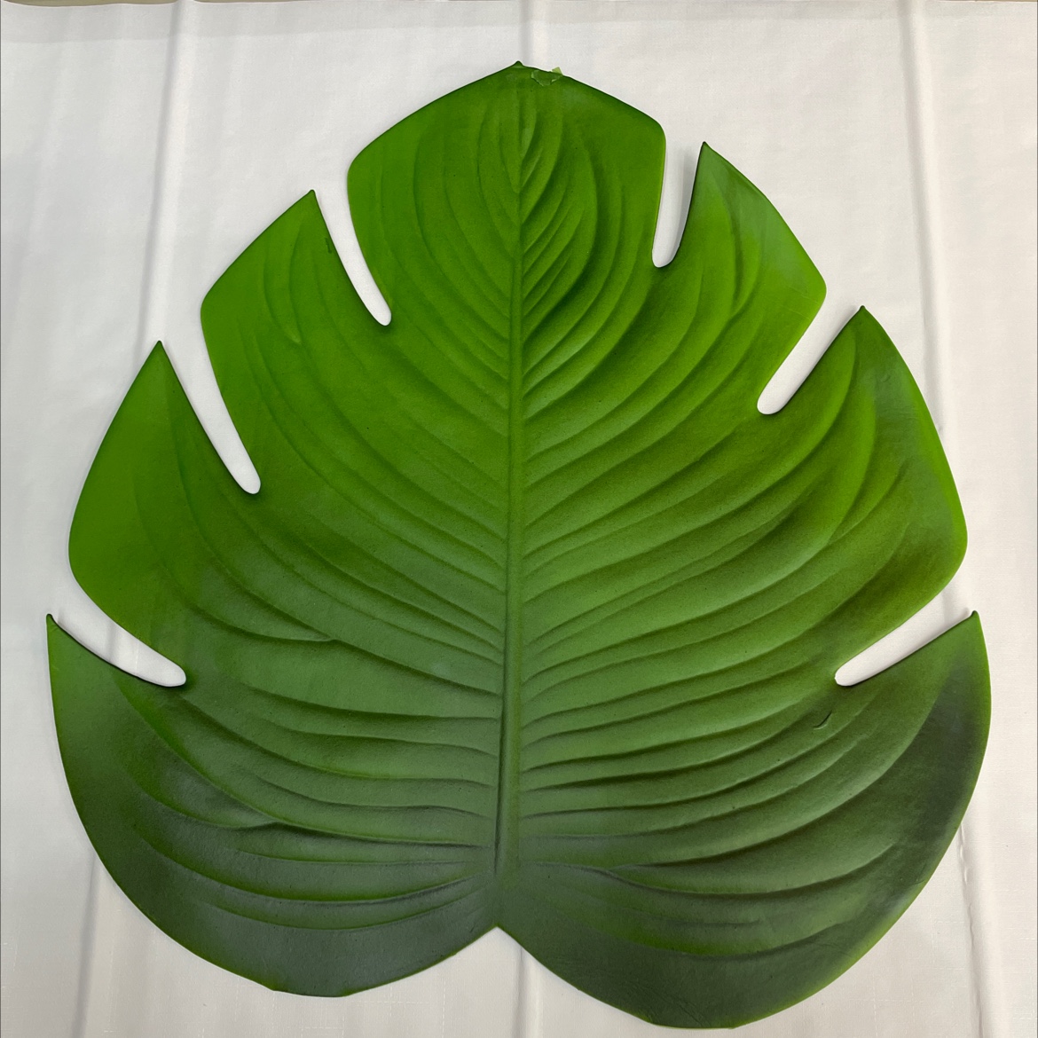 Turtle Leaf details Picture