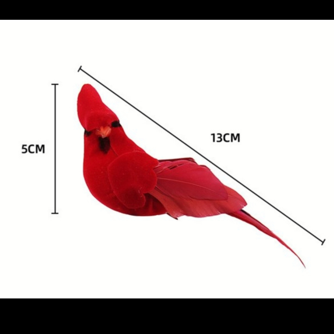 圣诞节羽毛红鸟图