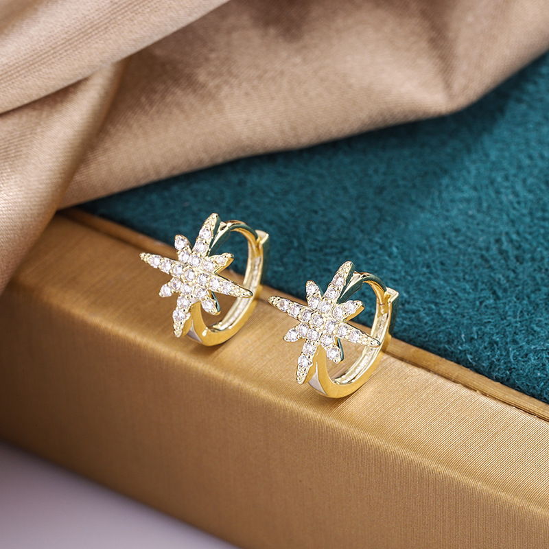 Niche design micro-inset zircon earrings octet star ear buckle simple geometric female personality light luxury ear drop ring thumbnail