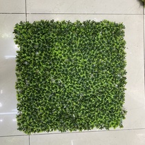 Milan lawn
