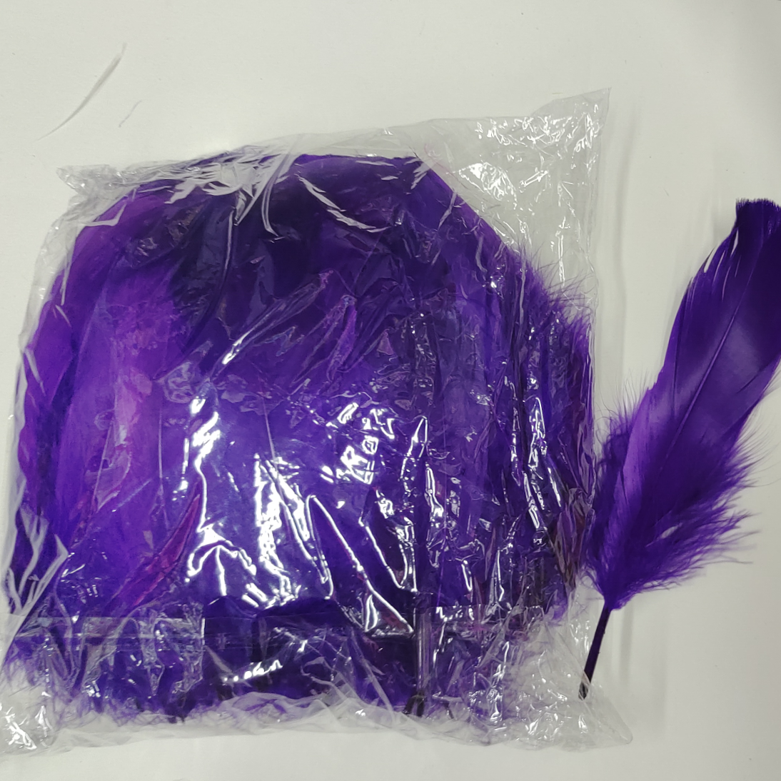 Big purple feathers