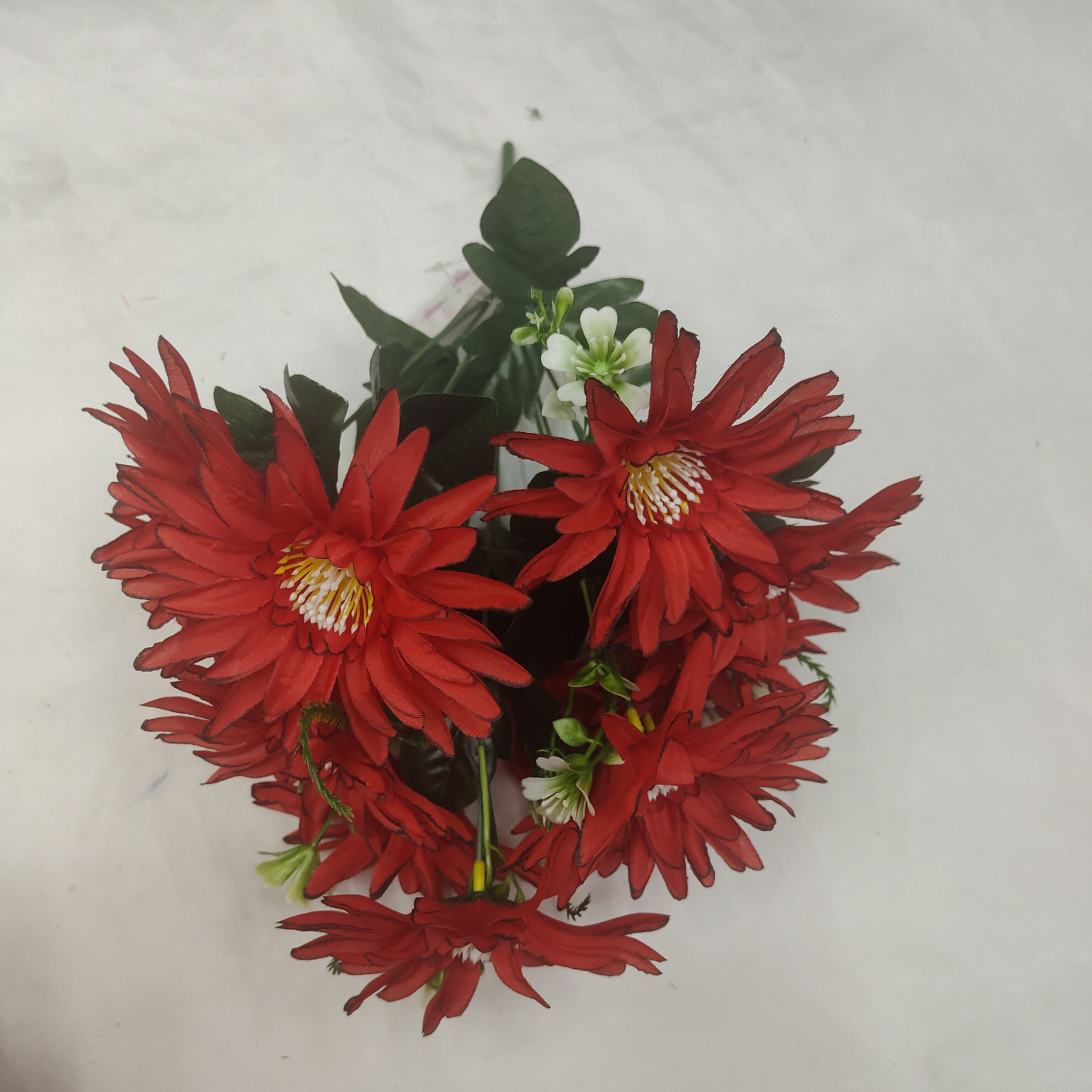 Nine slender chrysanthemums