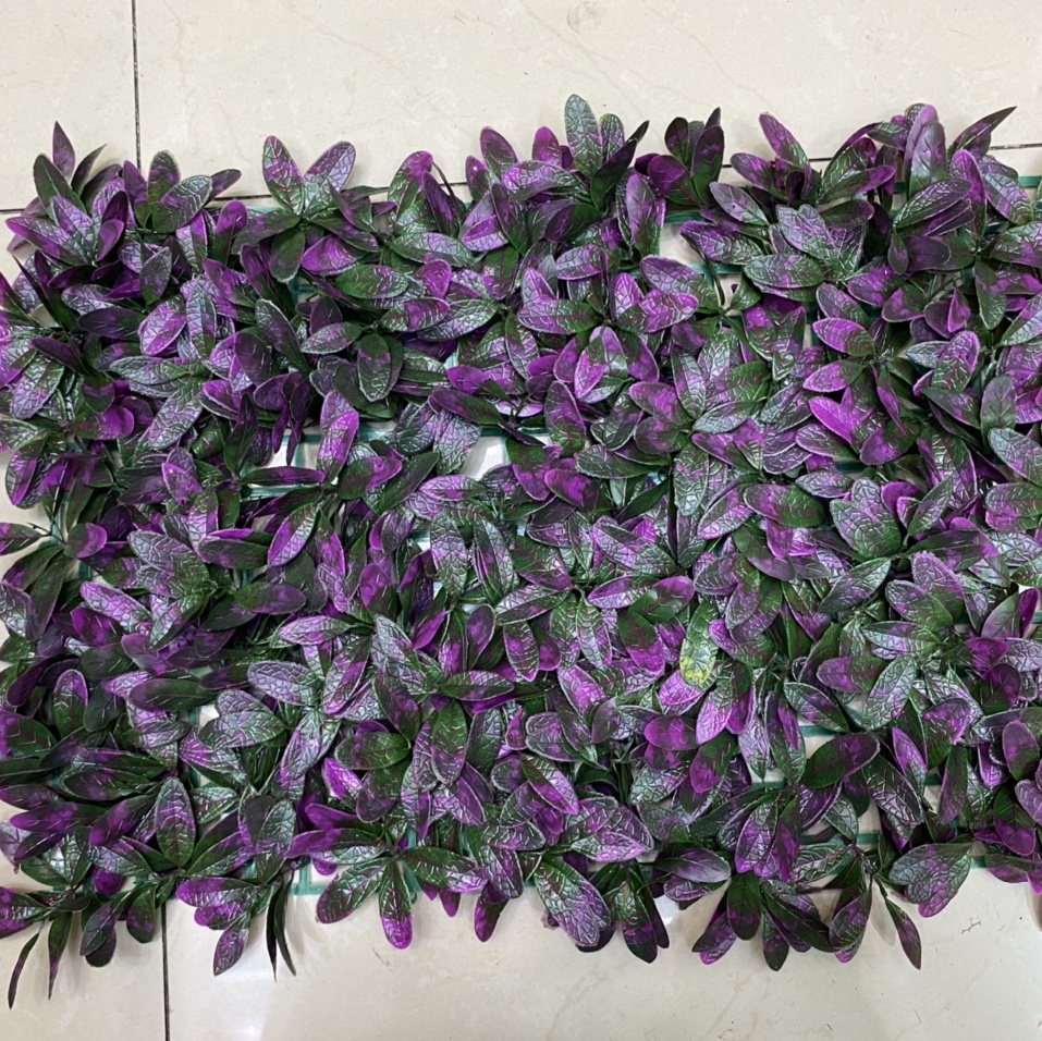 Cape jasmine