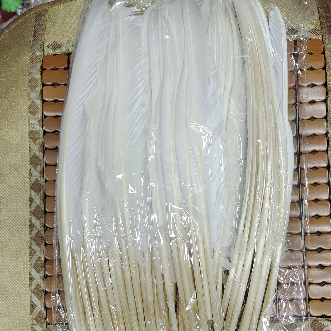 Feather off back white