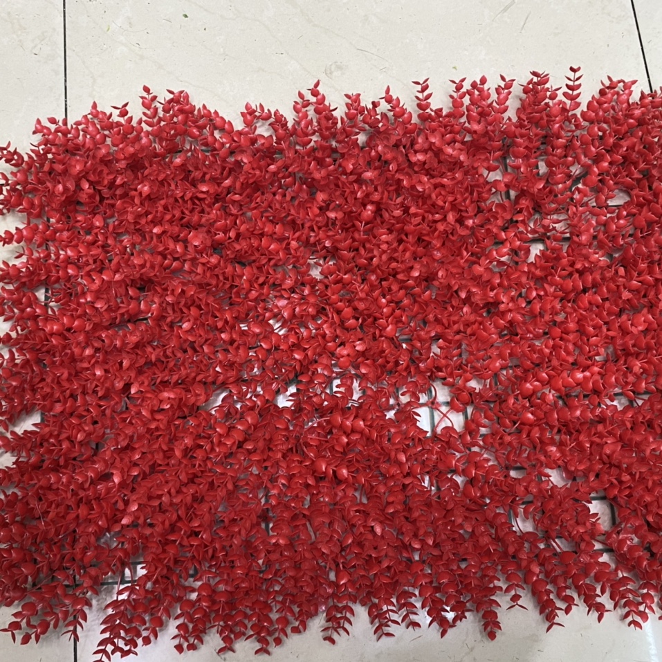 Red eucalyptus